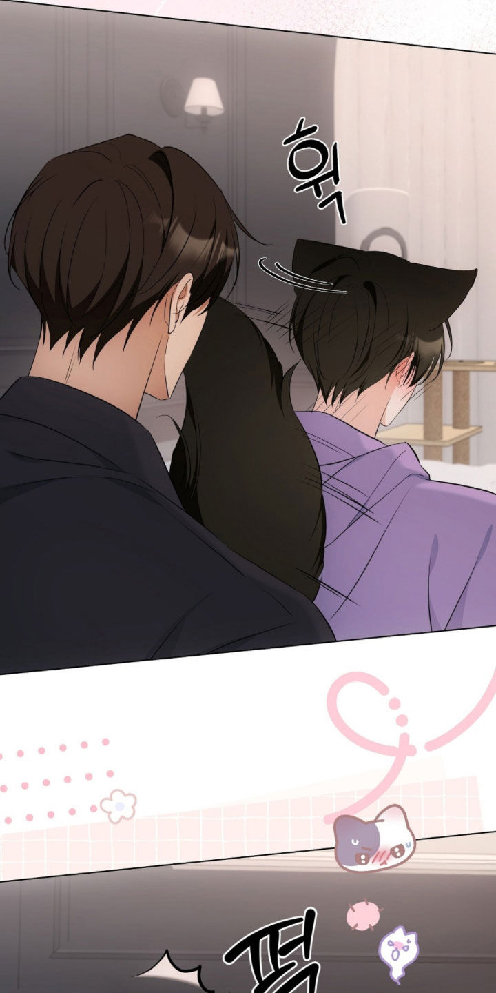 我的黑猫男友小短篇漫画,第38章：转账4图