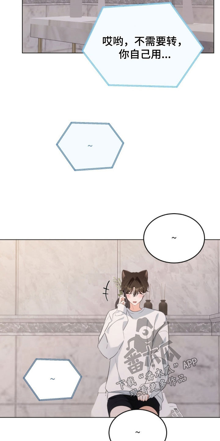 我的黑猫男友小短篇漫画,第38章：转账1图