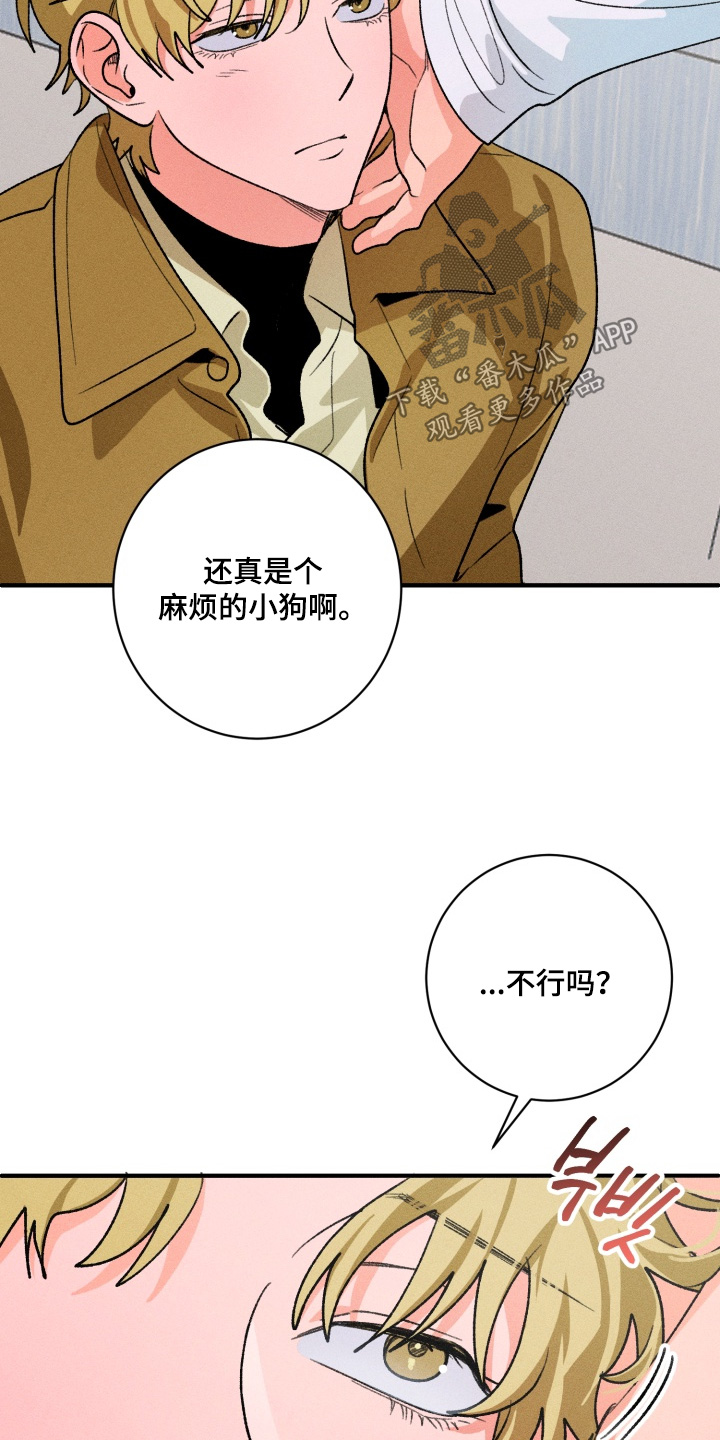 报复性依恋漫画,第19章：不要5图