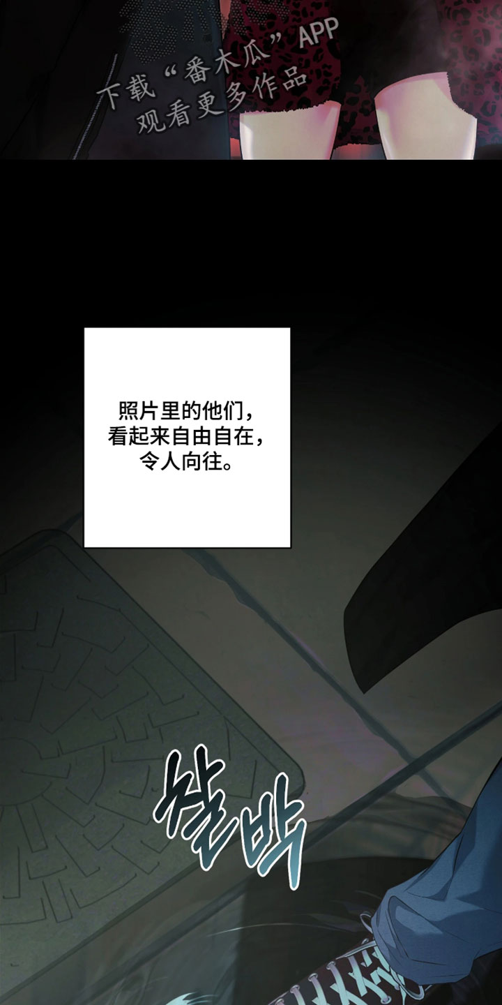 黄金阿尔法漫画,第25章：忍不住好奇1图