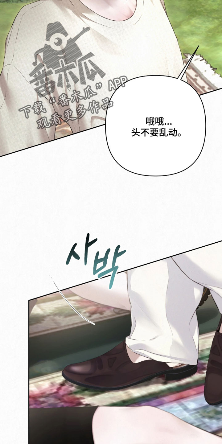 黄金阿尔法漫画,第26章：很不错的照片2图