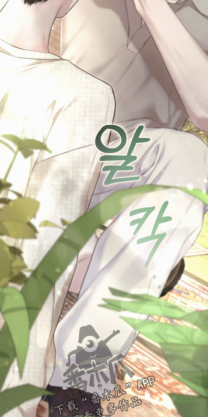黄金阿尔法漫画,第26章：很不错的照片4图