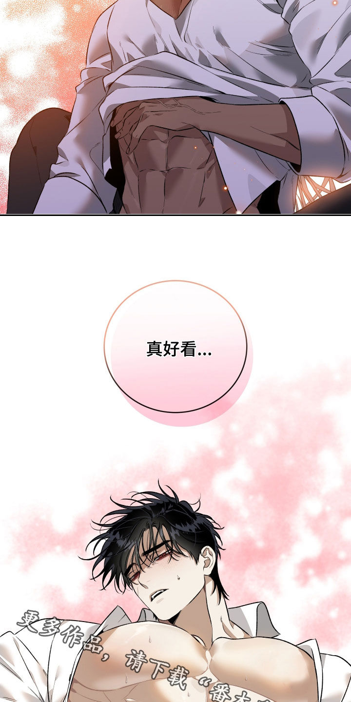 白夜的花路cp漫画,第28章：真好看3图