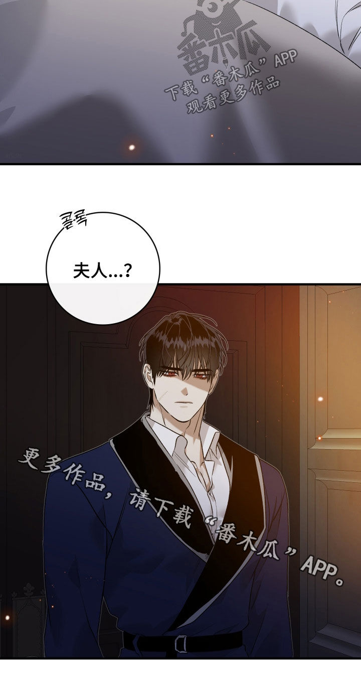 白夜的花路韩漫漫画,第25章：聘礼3图