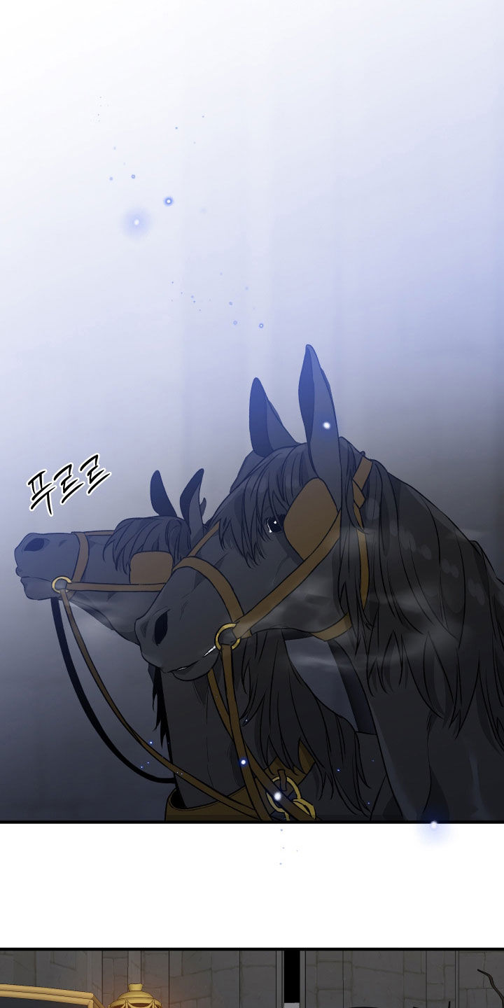白夜的花路韩漫漫画,第25章：聘礼1图