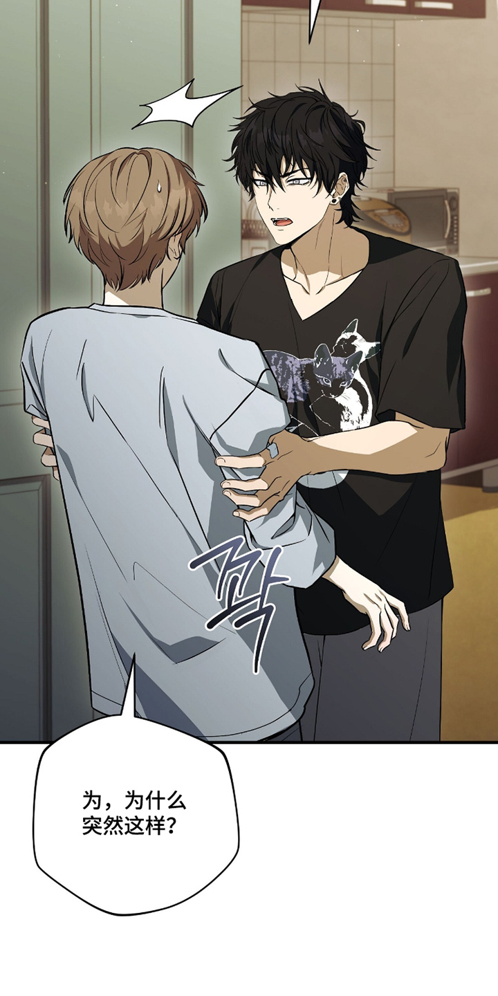 ABO符号漫画,第33章：最近在干吗2图