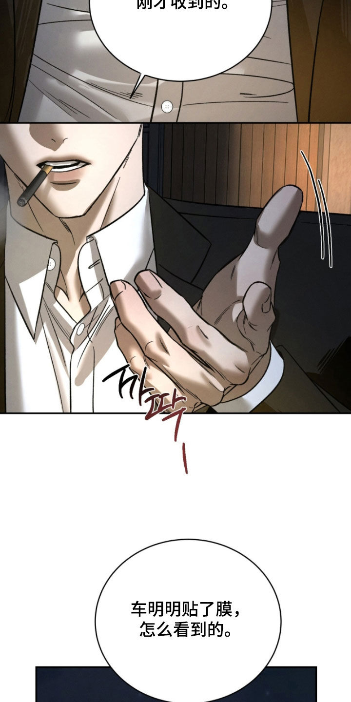 致命伪装在线免费观看漫画,第24章：试探2图