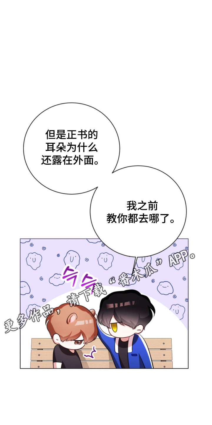 猛兽勿近小说正版漫画,第22章：不讨厌猛兽1图