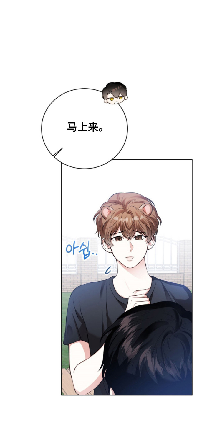 猛兽勿近小说正版漫画,第22章：不讨厌猛兽3图