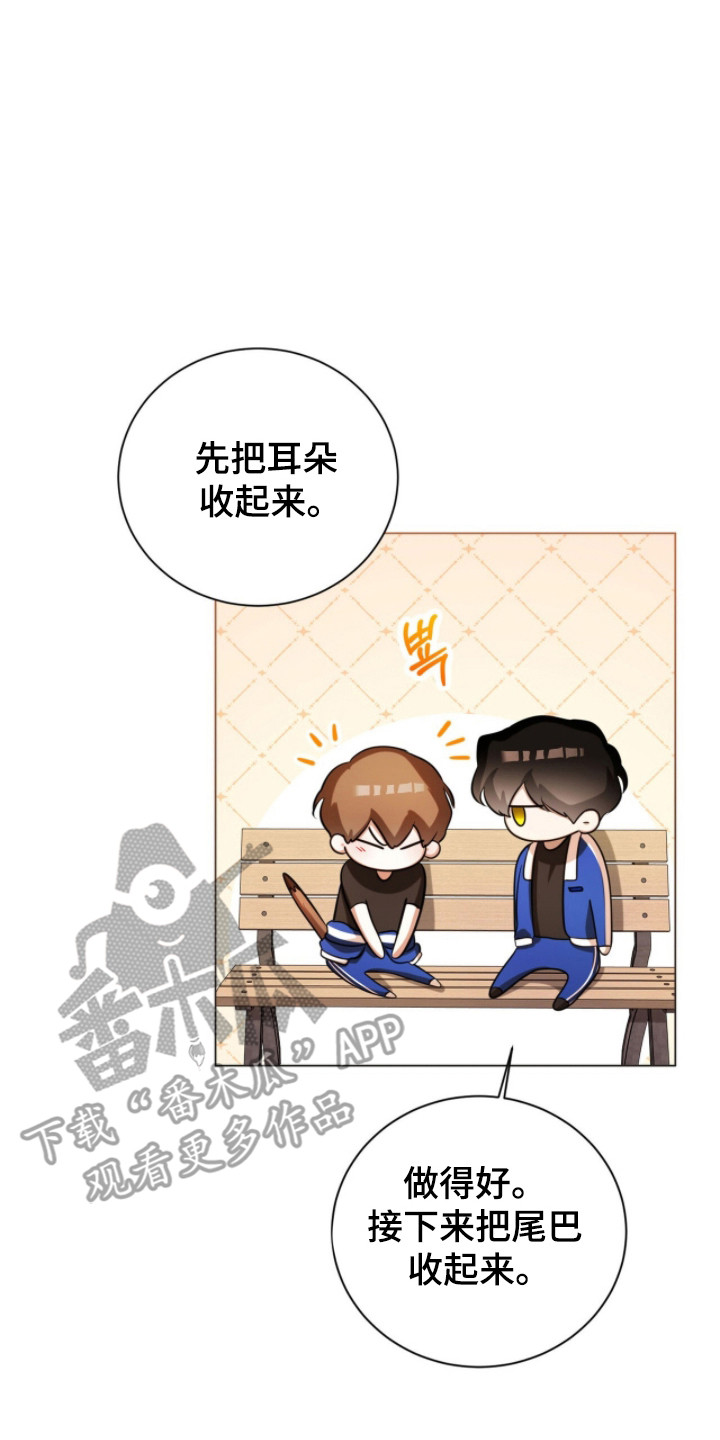 猛兽勿近小说正版漫画,第22章：不讨厌猛兽4图