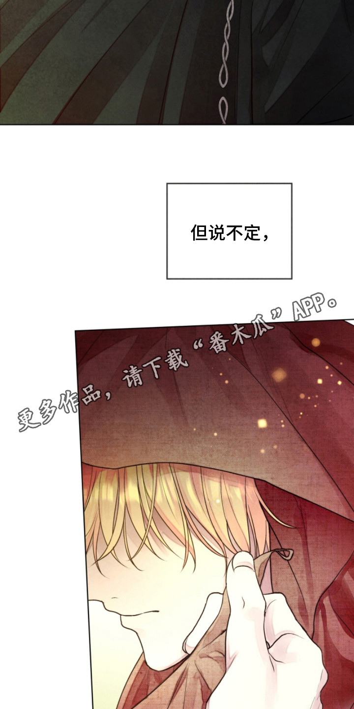 冰封的王嫁漫画,第15章：告知真相4图