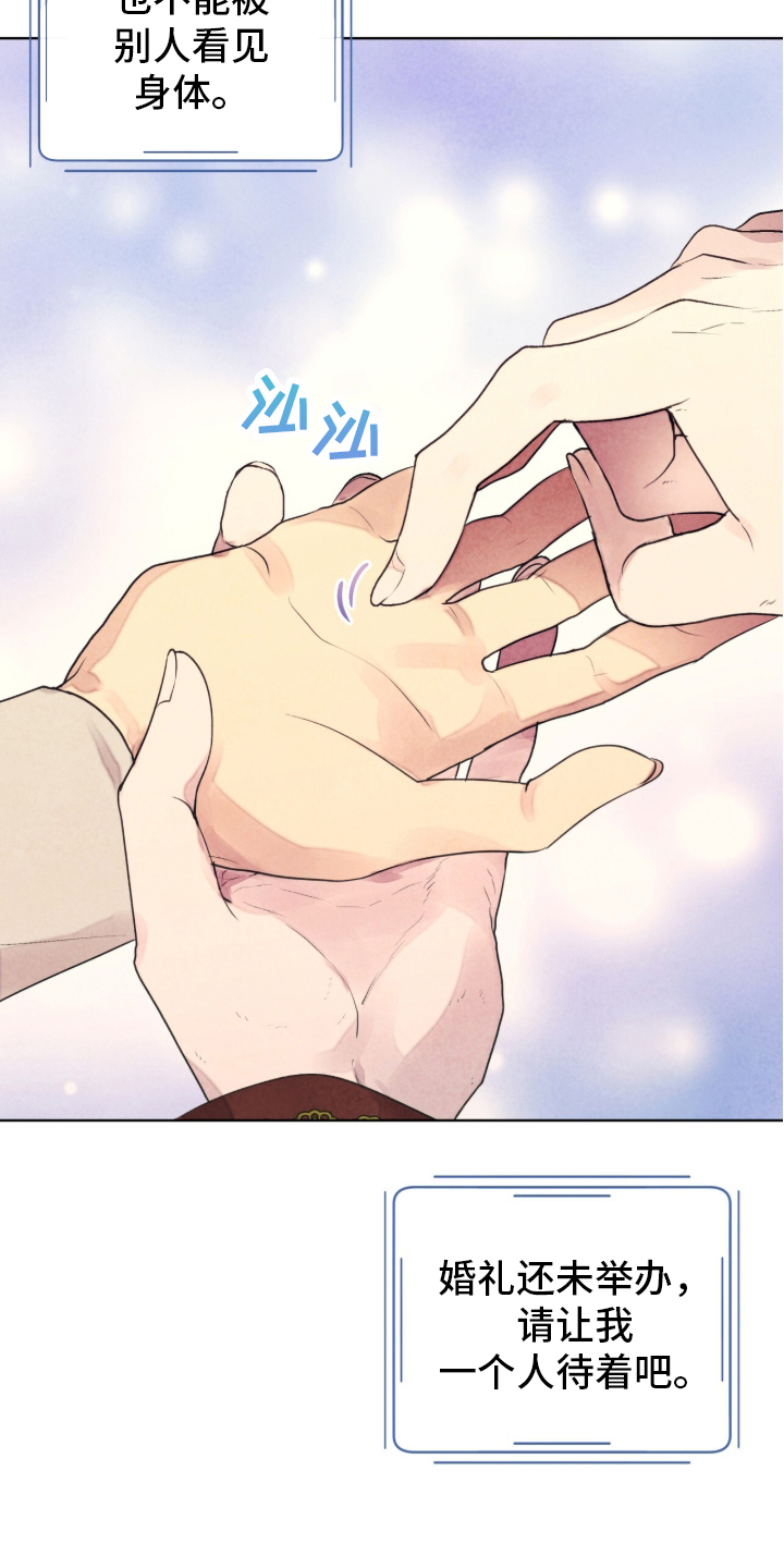 冰封的王嫁漫画,第1章：公主到访4图