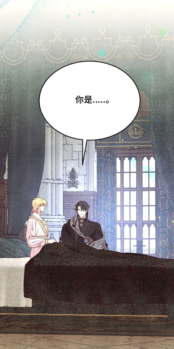 冰封的王嫁漫画,第15章：告知真相4图
