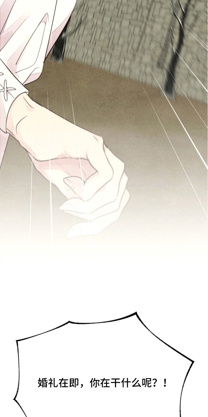 冰封的王嫁漫画,第6章：溜出来1图