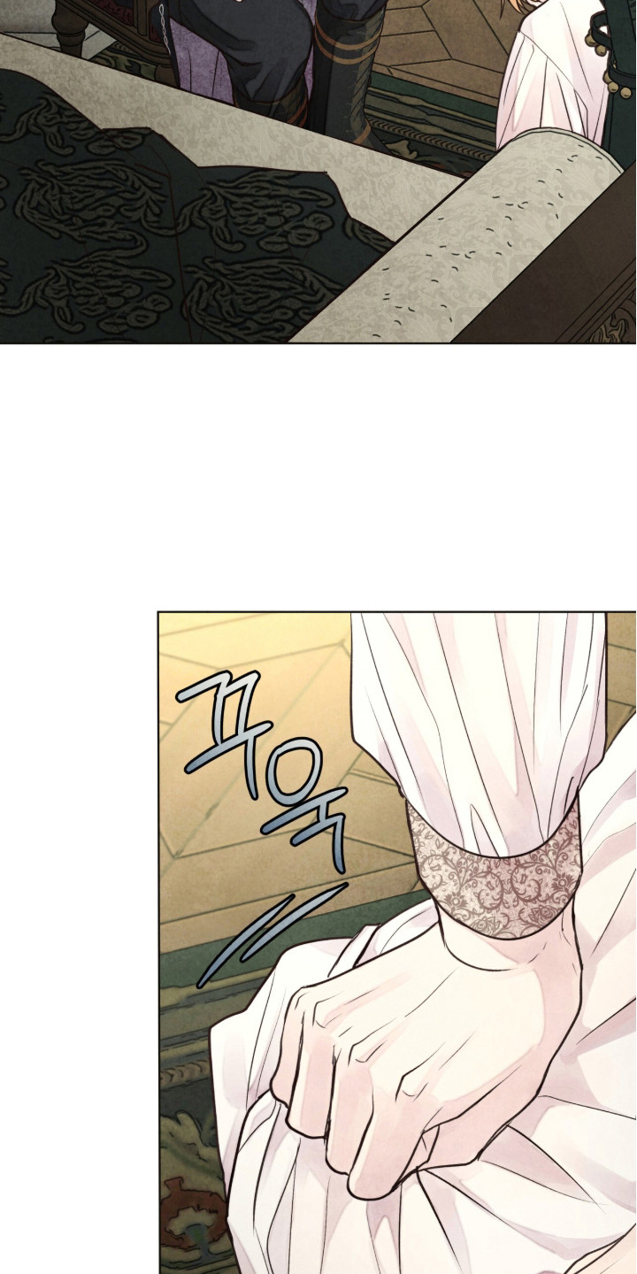 冰封的王嫁漫画,第17章：男大公妃2图