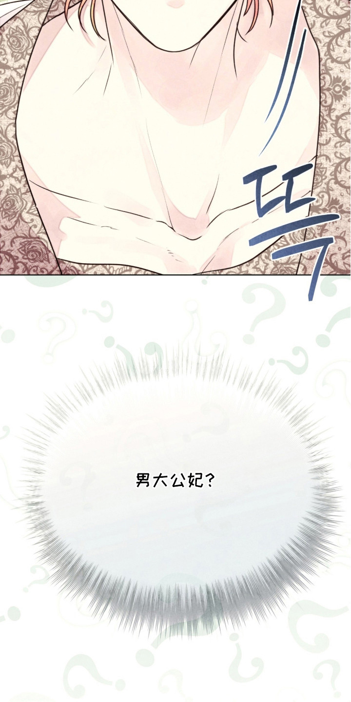 冰封的王嫁漫画,第17章：男大公妃1图