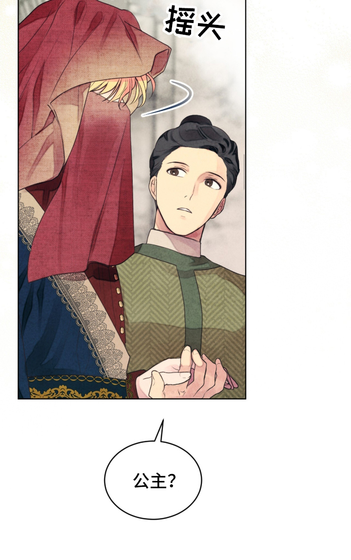 冰封的王嫁漫画,第1章：公主到访2图