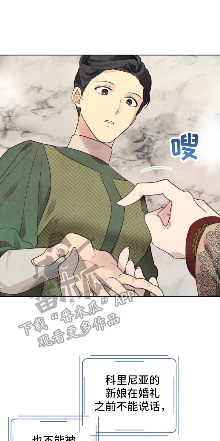 冰封的王嫁漫画,第1章：公主到访3图