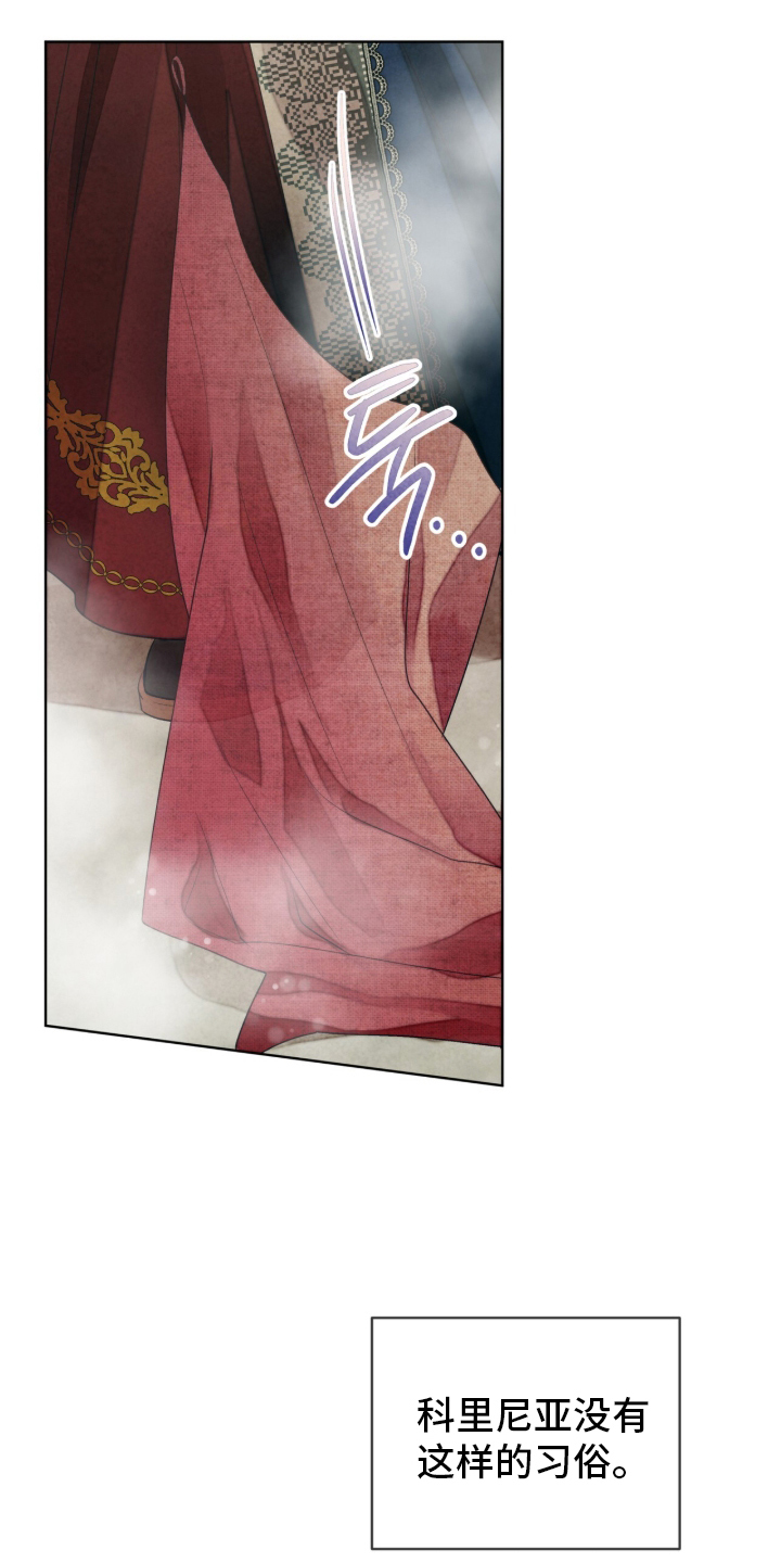 冰封的王嫁漫画,第1章：公主到访5图