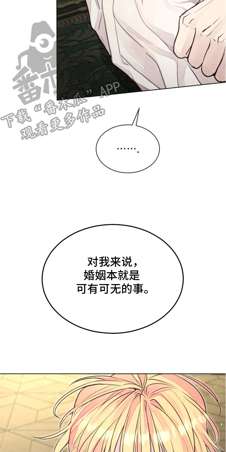 冰封的王嫁漫画,第17章：男大公妃3图