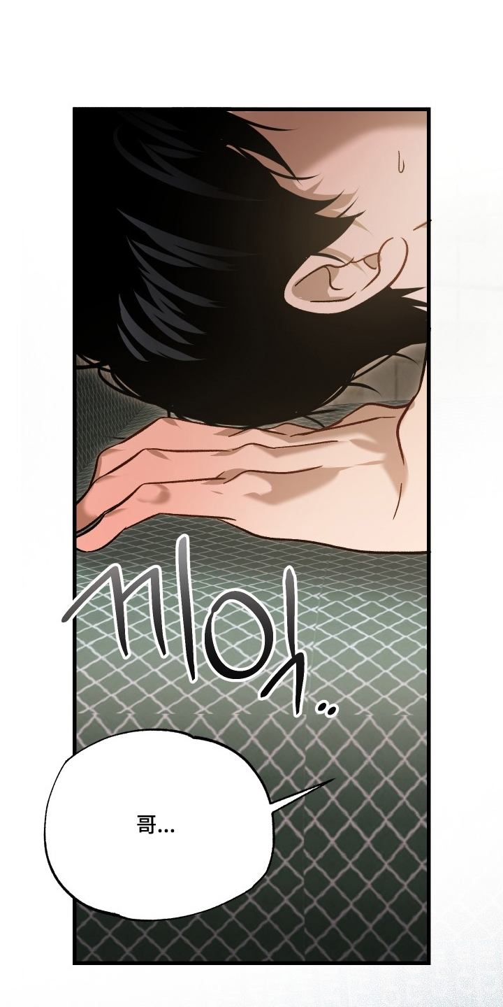 逆轨交织漫画,第14章：没经验4图