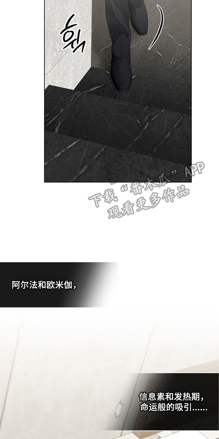 无色的恋人漫画,第22章：斗嘴3图
