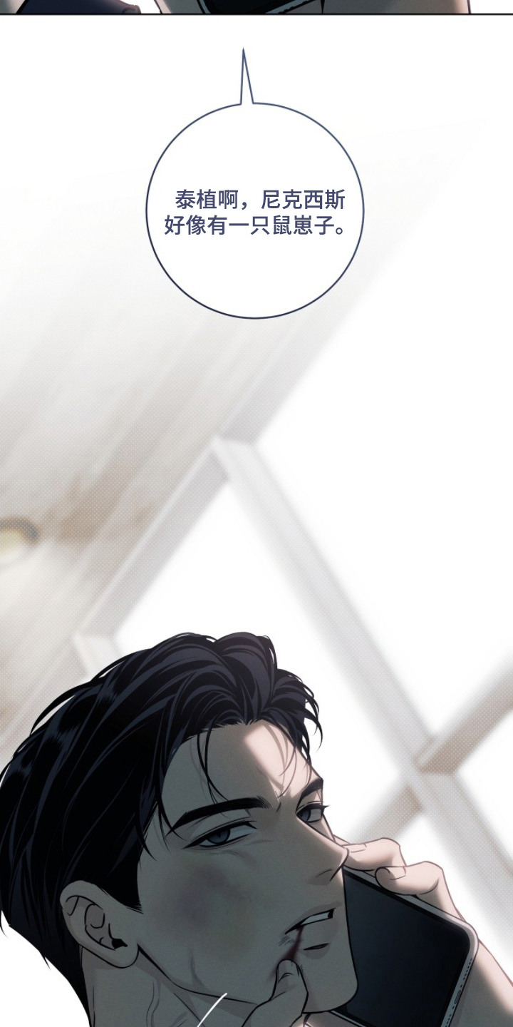 冬夜回响漫画,第11章：鼠崽子2图