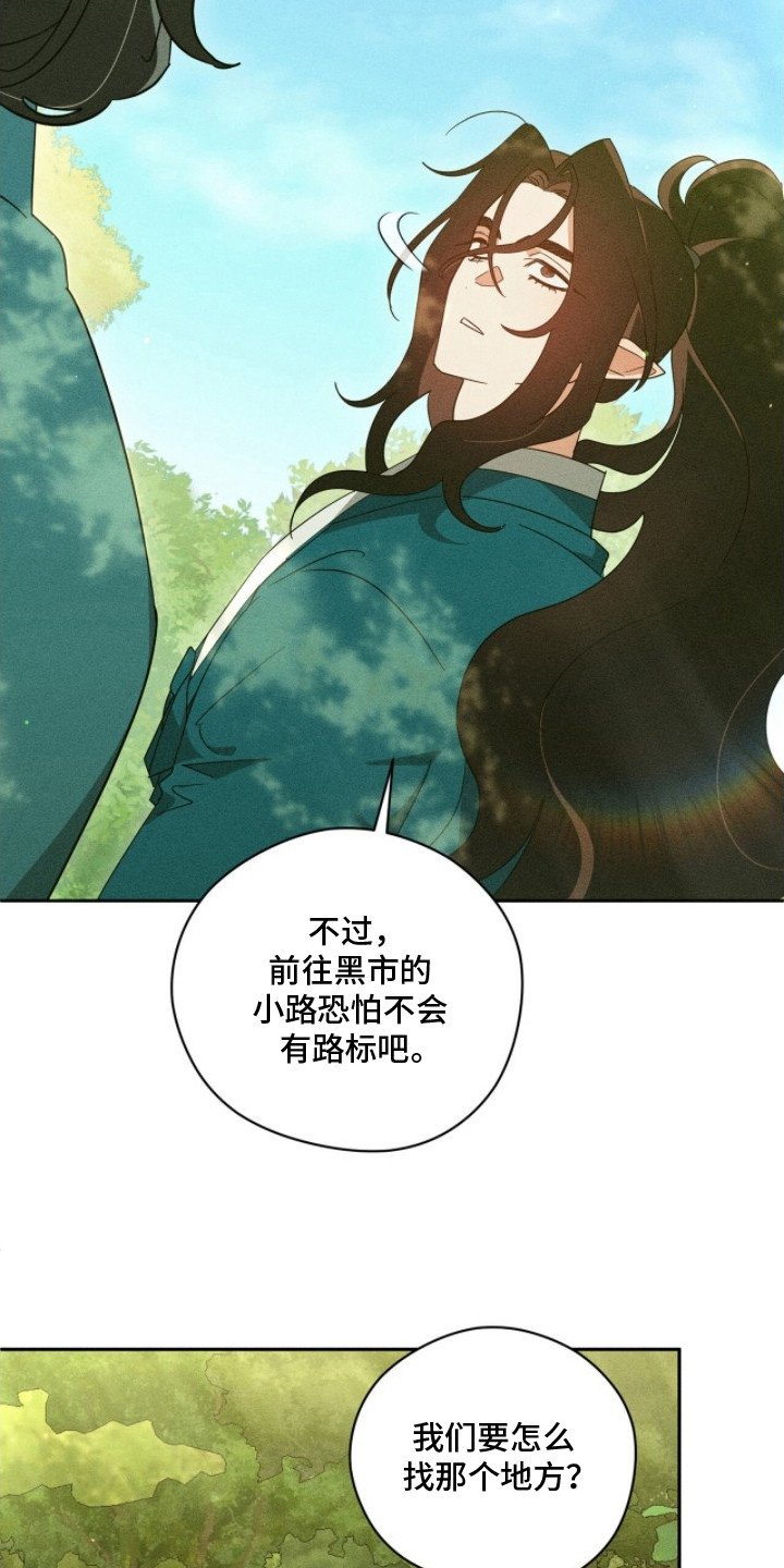 最后的龙雨漫画,第22章：不能进城1图