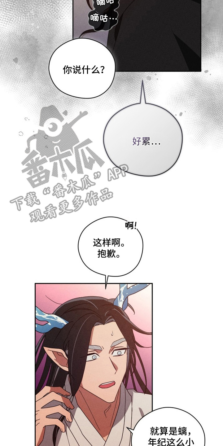 最后的龙雨漫画,第3章：过夜1图