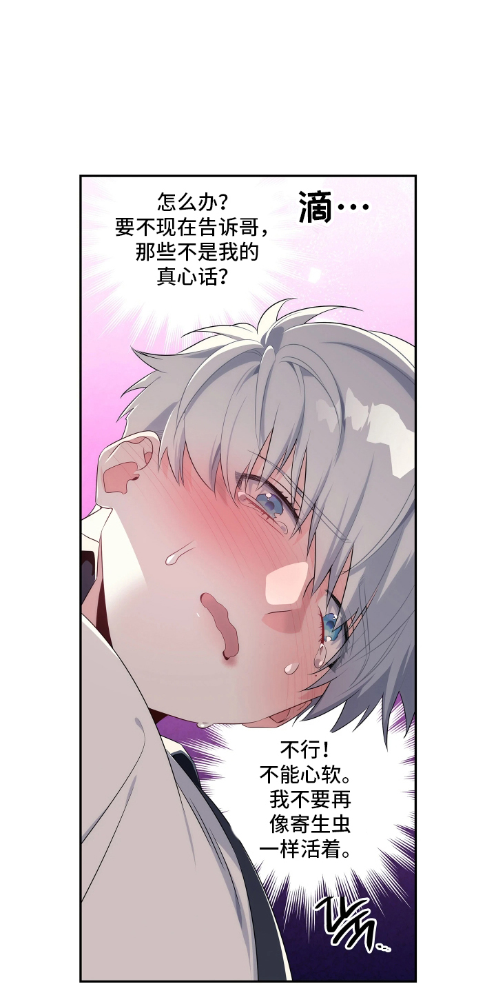 底牌与谎言漫画,第2章：唯一的家人4图