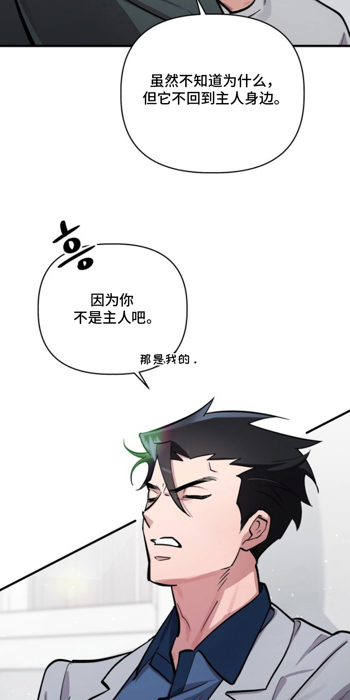 千年灵物盯上我漫画,第17章：如意珠4图