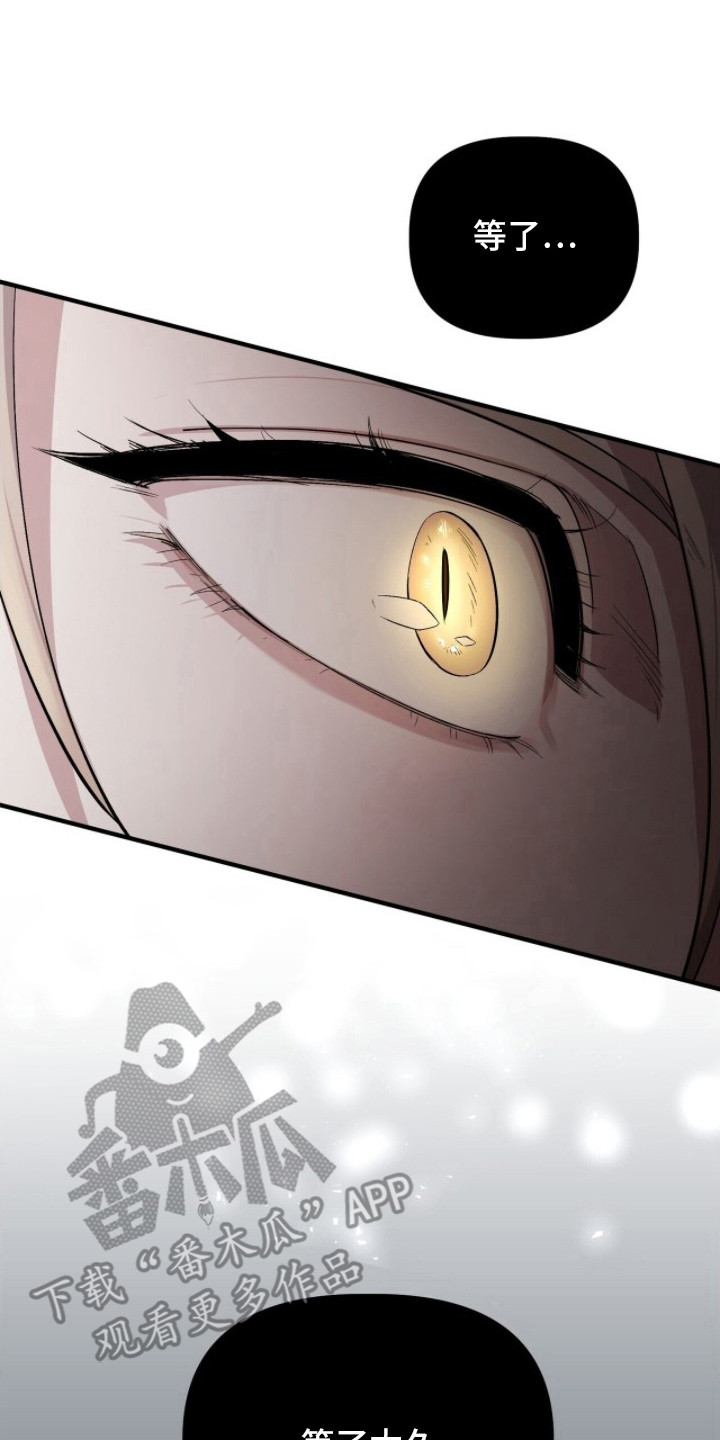 千年灵物盯上我漫画,第4章：响指2图