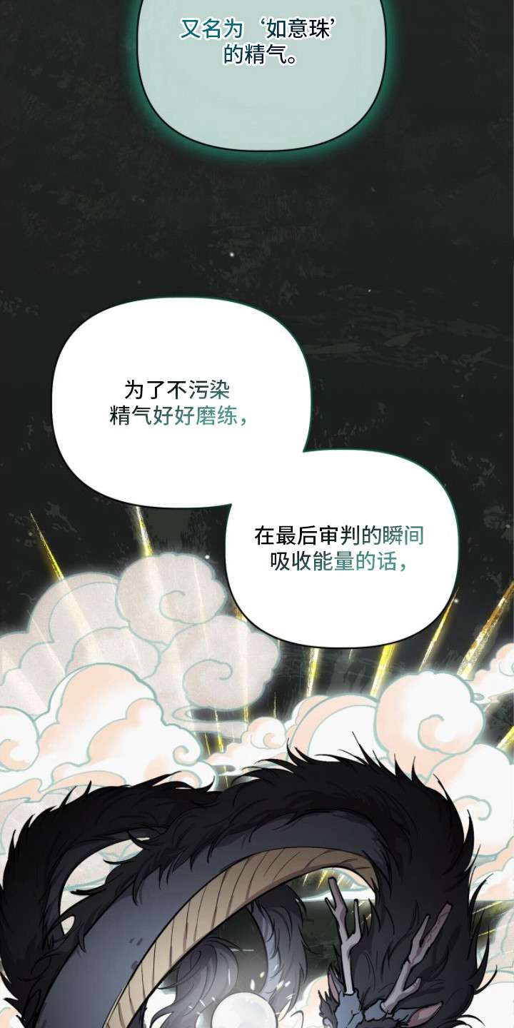 千年灵物盯上我漫画,第17章：如意珠1图