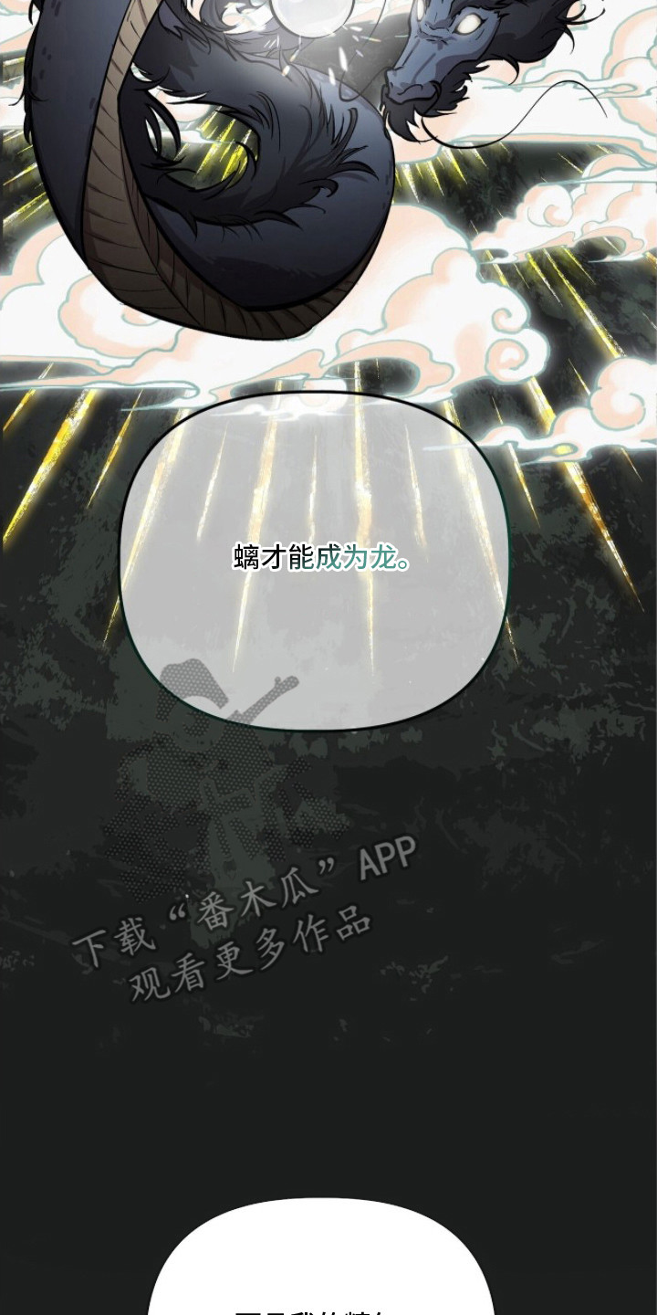 千年灵物盯上我漫画,第17章：如意珠2图