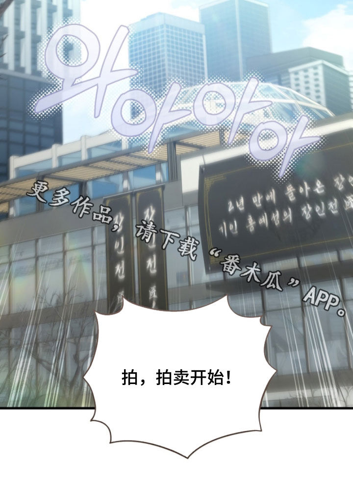 猎人回归笔趣阁TXT下载漫画,第79章：【第二季】拍卖继续2图