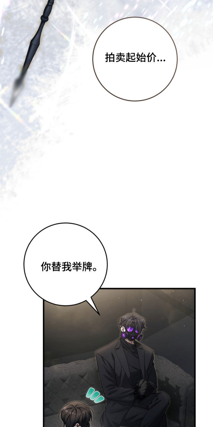 猎人回归笔趣阁TXT下载漫画,第79章：【第二季】拍卖继续1图