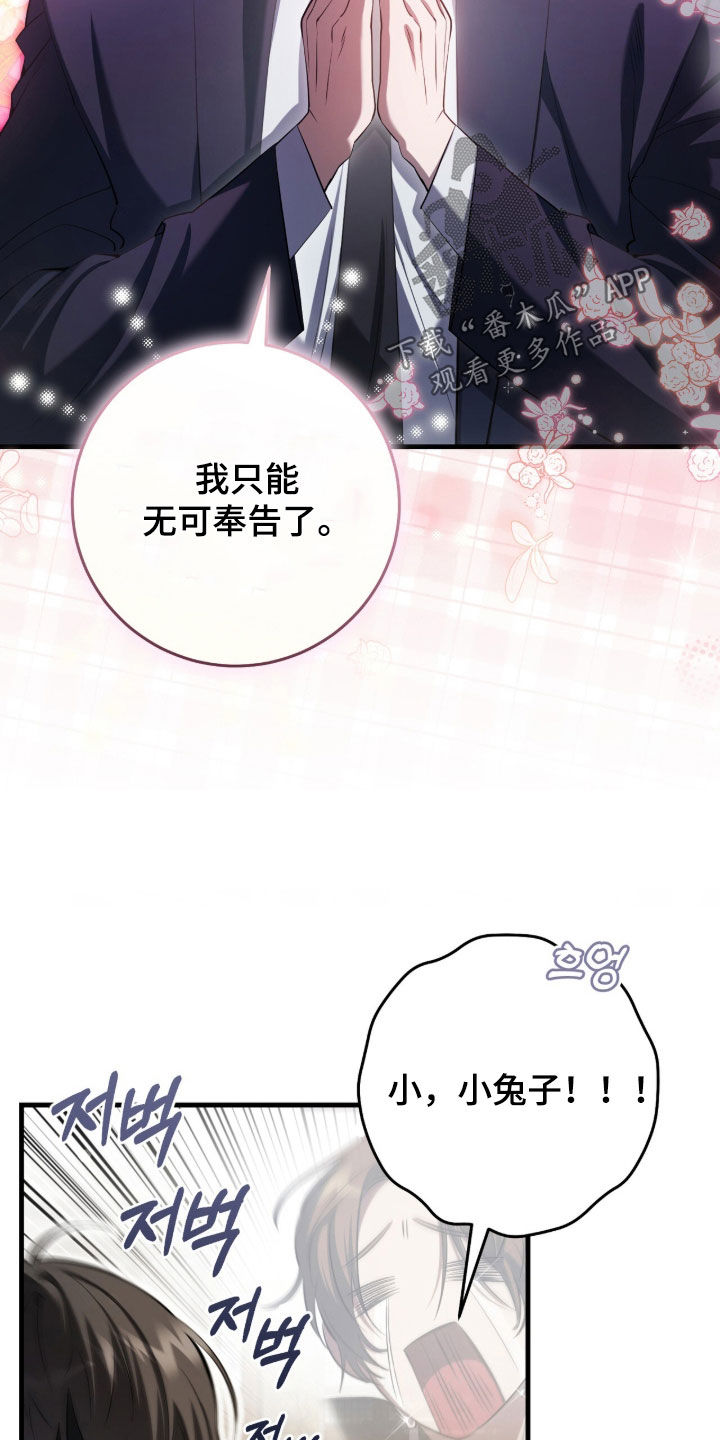 猎人回归笔趣阁TXT下载漫画,第76章：【第二季】无可奉告3图