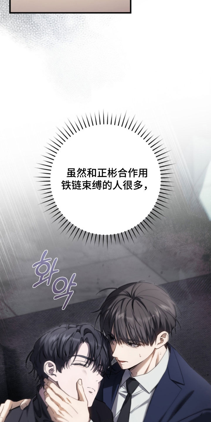 猎人回归漫画,第78章：【第二季】比比皆是5图