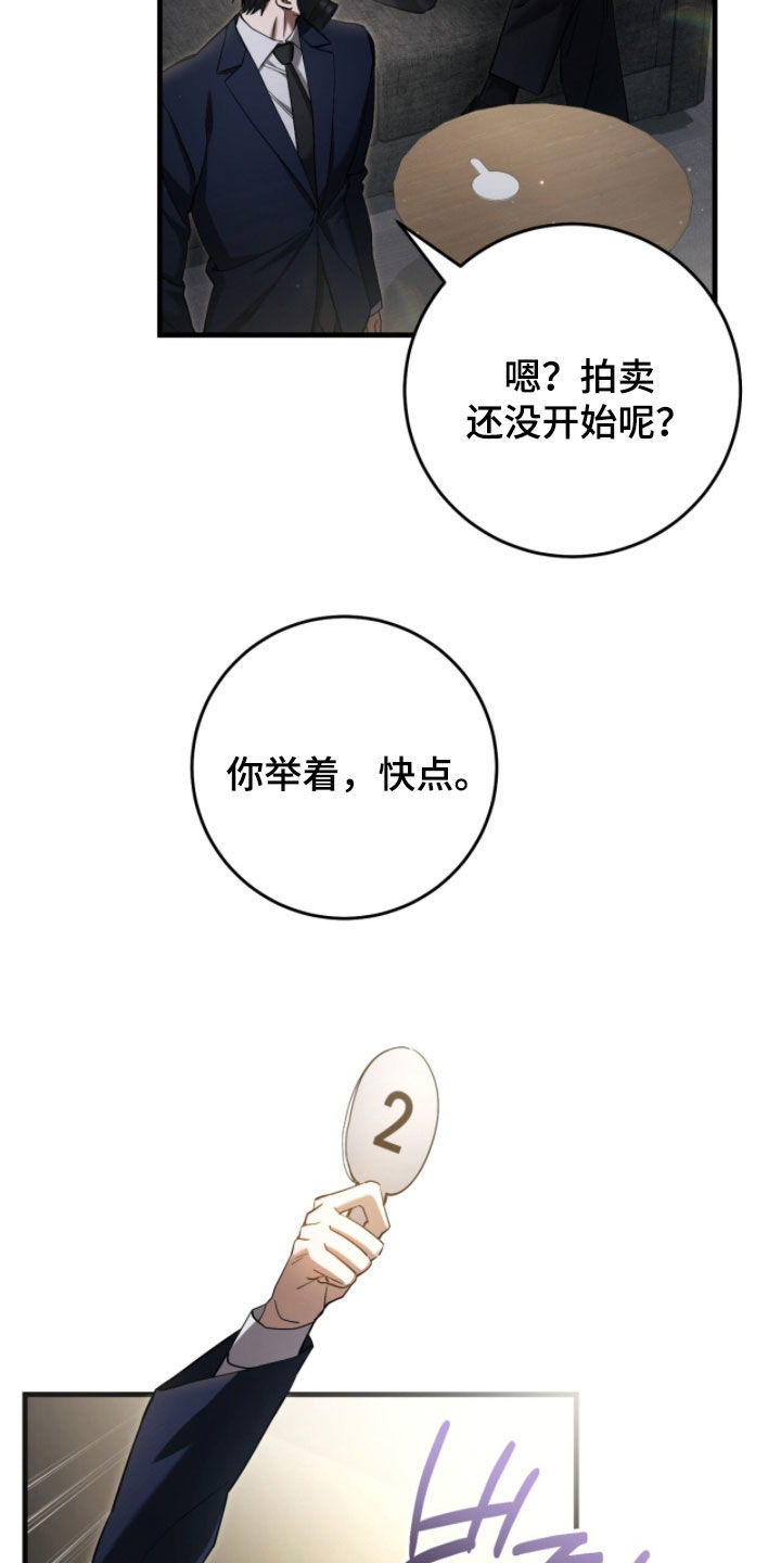 猎人回归笔趣阁TXT下载漫画,第79章：【第二季】拍卖继续2图