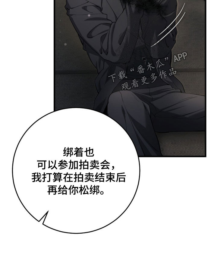 猎人回归笔趣阁TXT下载漫画,第77章：【第二季】被绑3图