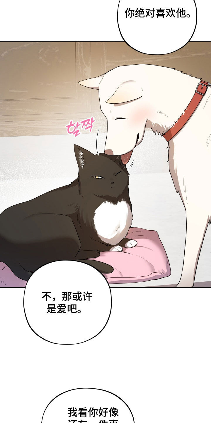 初恋苹果漫画,第82章：【第二季】提问5图