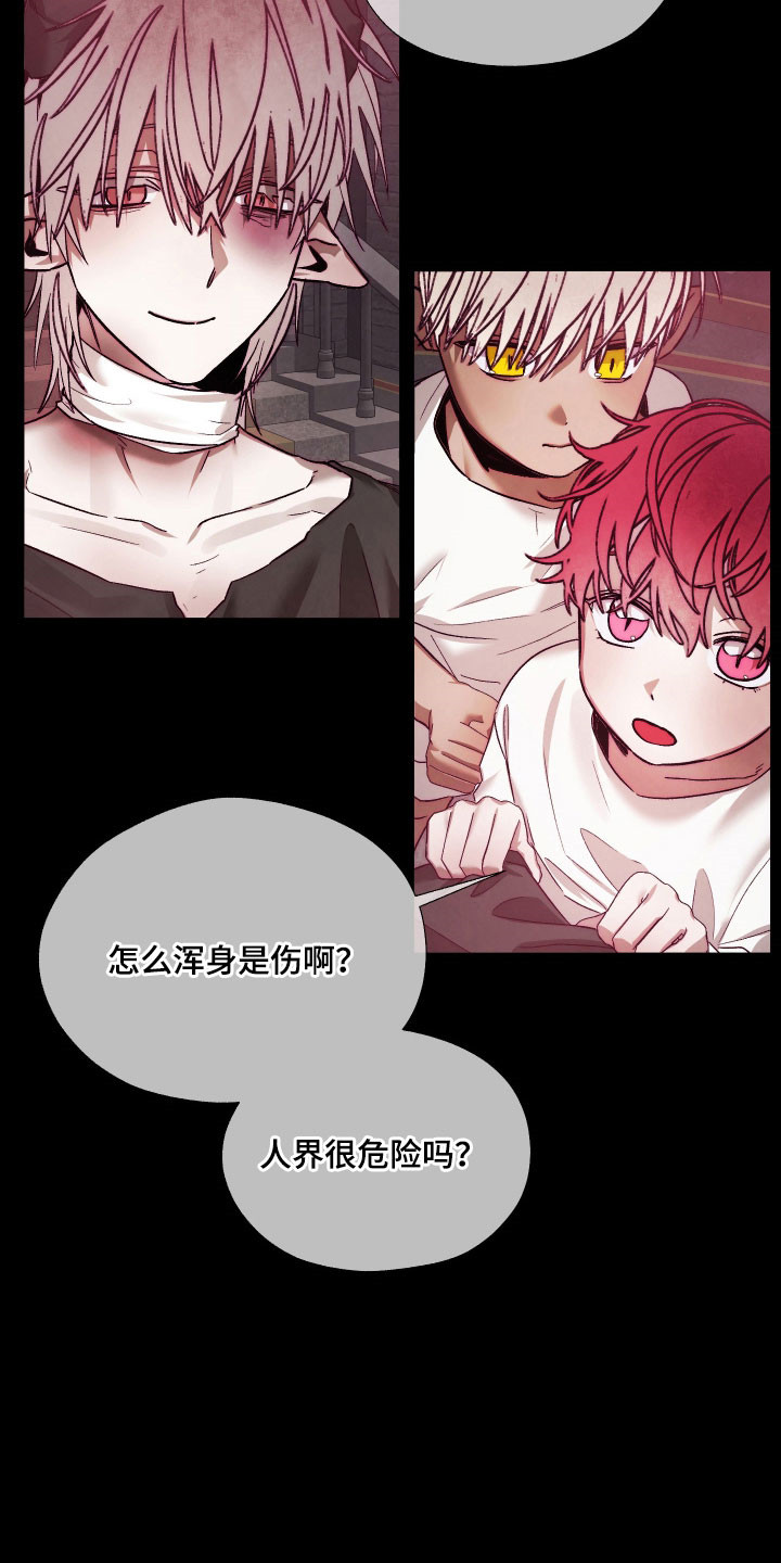 饲养魅魔的100种方法漫画,第38章：情侣戒指5图