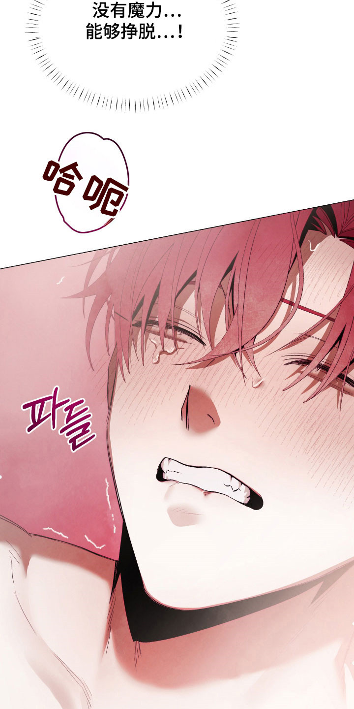 如何饲养一只魅魔首页漫画,第35章：帮帮我3图