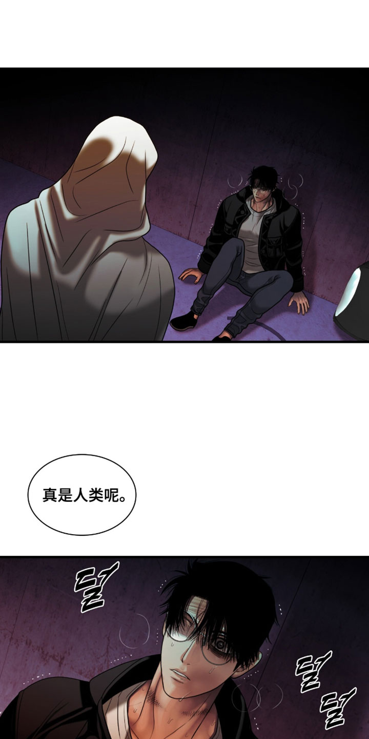 腐蚀的痛处最新一章漫画,第110章：【第二季】你还活着2图