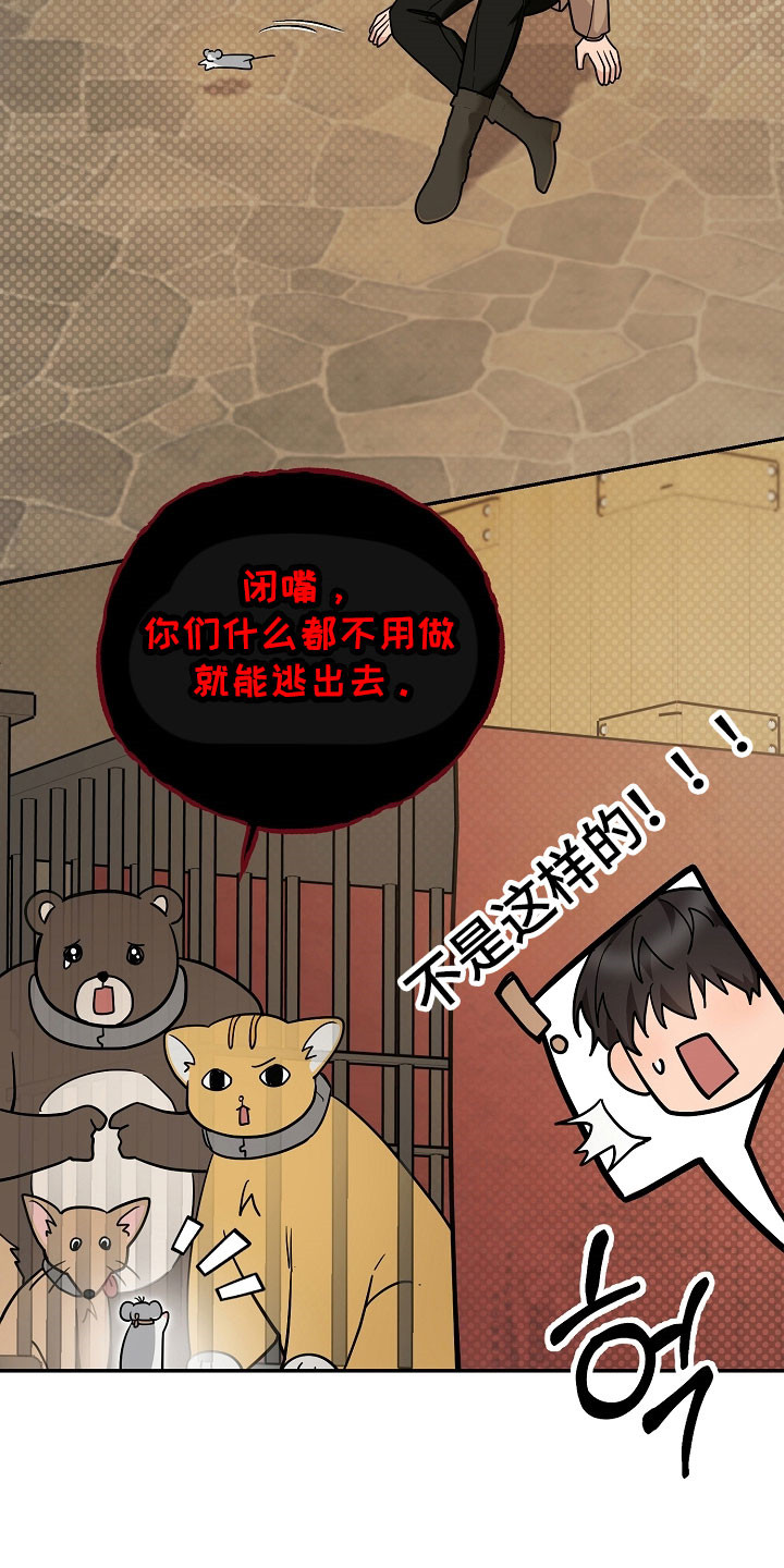 我的仓鼠在哪里下载漫画,第34章：成功潜入1图