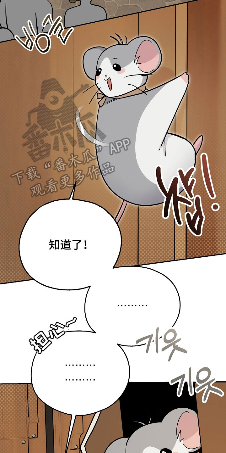 我的仓鼠外挂漫画,第35章：准备逃跑3图
