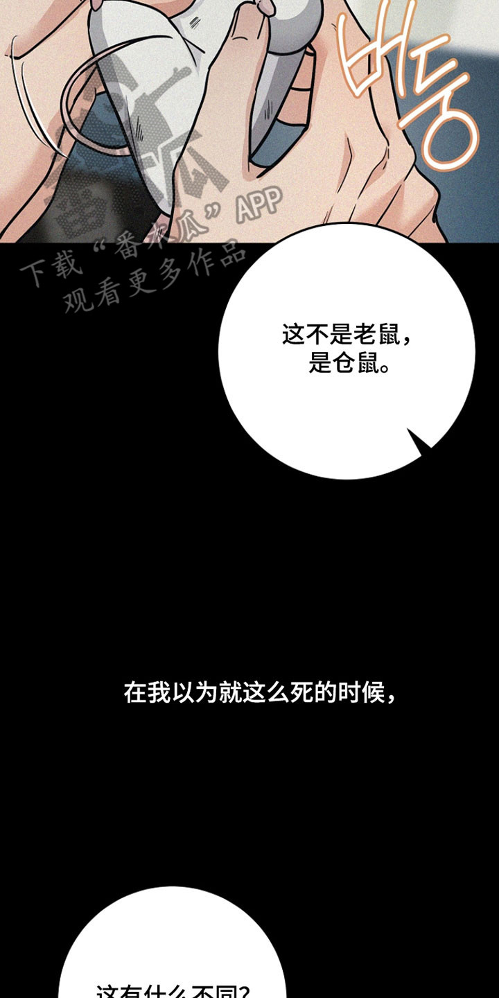 我的仓鼠人生发生恐怖事件漫画,第37章：善良的人1图