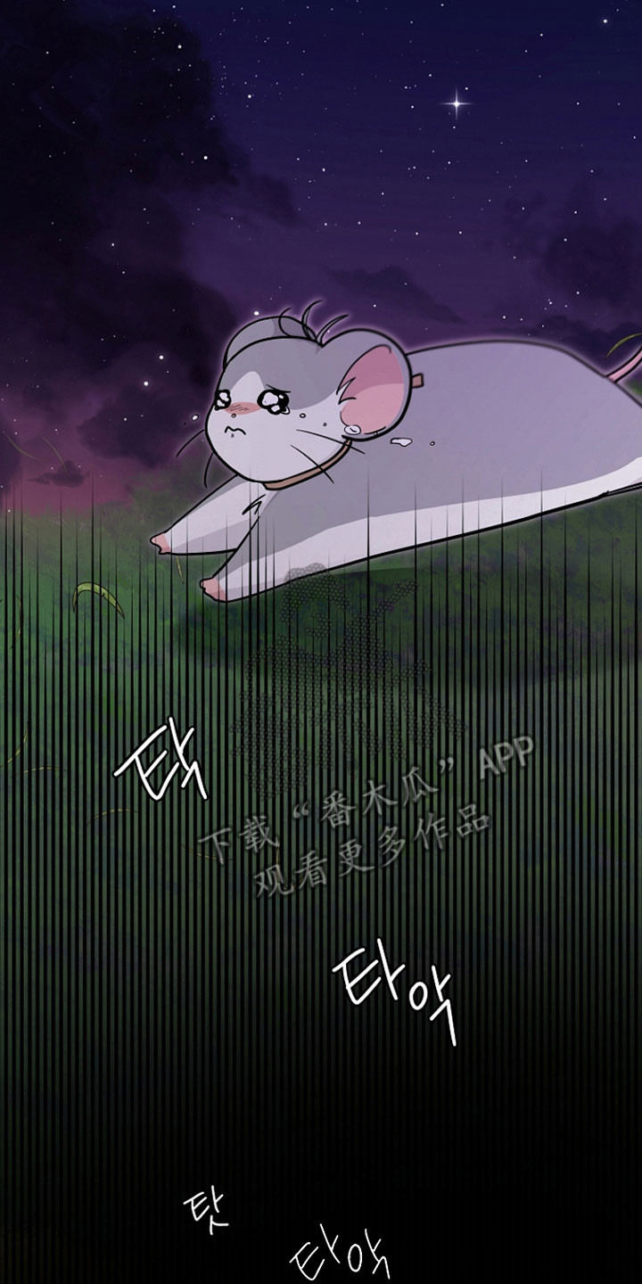 我的仓鼠人生发生恐怖事件漫画,第37章：善良的人5图