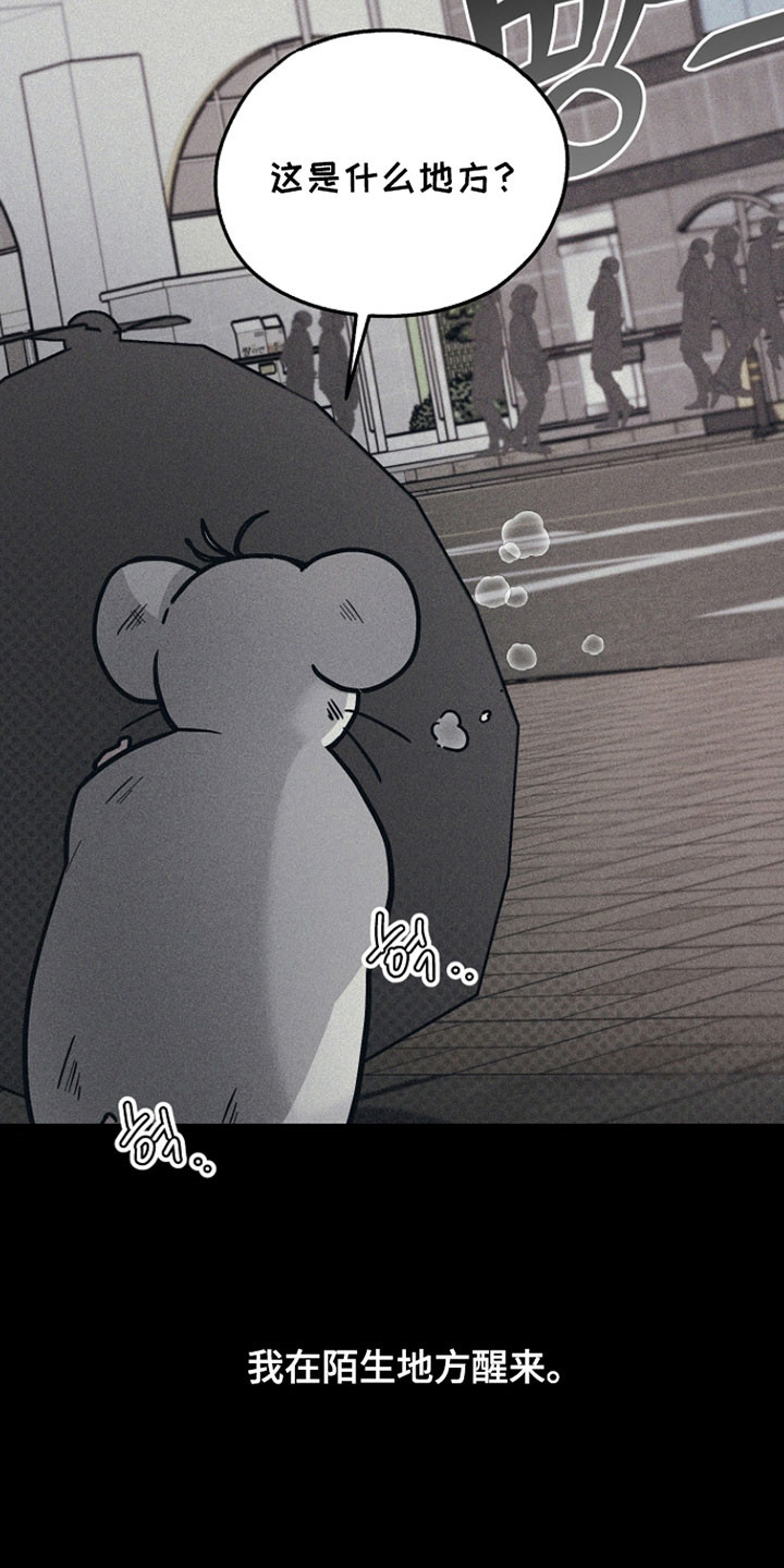 我的仓鼠人生发生恐怖事件漫画,第37章：善良的人2图