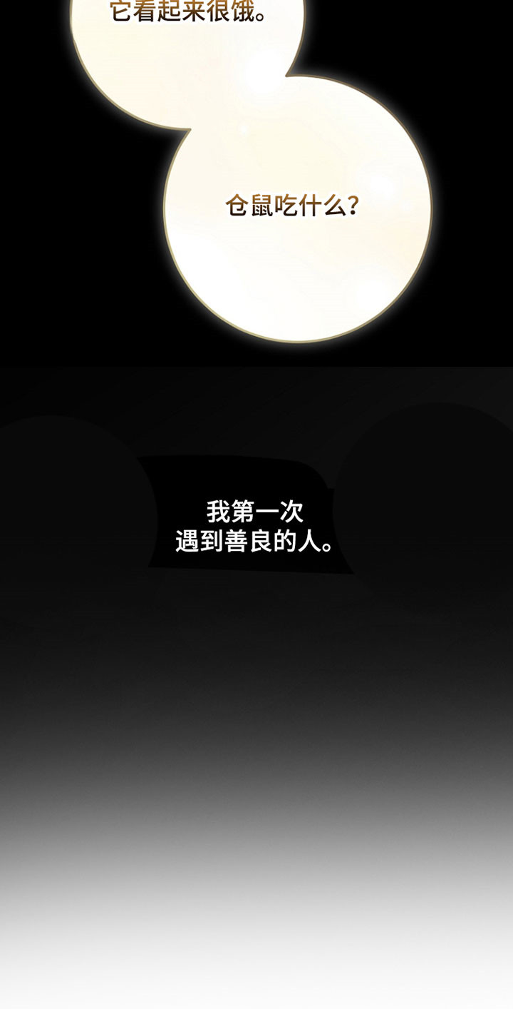 我的仓鼠人生发生恐怖事件漫画,第37章：善良的人5图